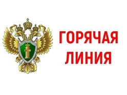 Горячая линия в прокуратуре Пензенской области