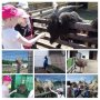 1Д: Экскурсия на страусиную ферму в Казеевку